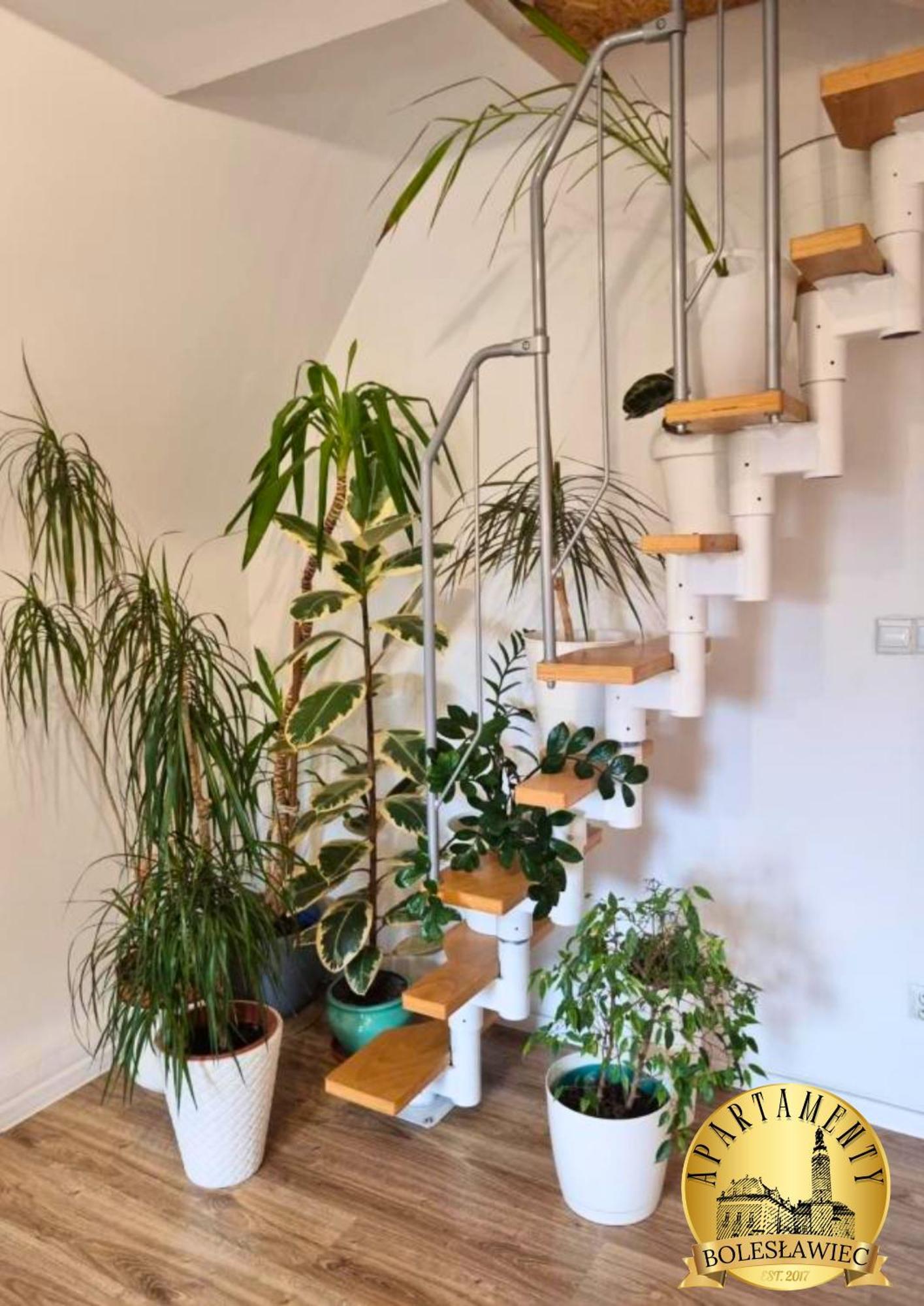 Apartament W Rynku Boleslawiec  Exteriör bild